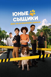 Юные сыщики. Дело об исчезнувших щенках / Pet Investigators