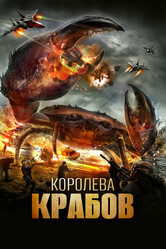 Королева крабов / Queen Crab